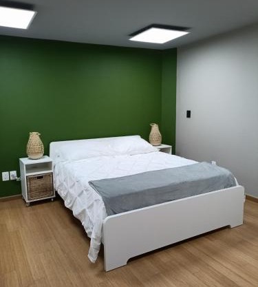 Coliving Condesa Junior Suite 5 Olivo