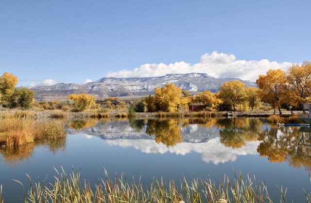 Colorado river guest house