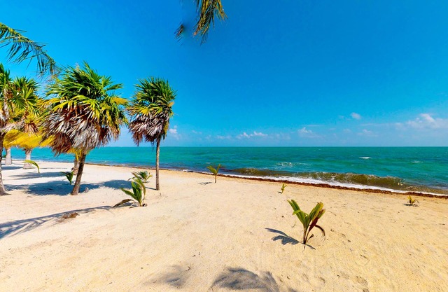 Gemütliche Cabana mit Klimaanlage und Hängematte, ideal für Paare, nur wenige Schritte vom Strand entfernt!
