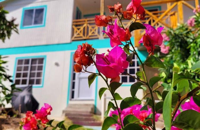 Colorful Garden House