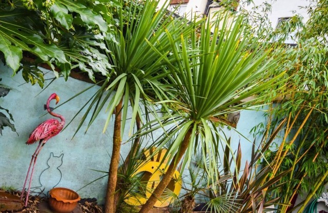 Colourful 3BD Home With Garden in Southville