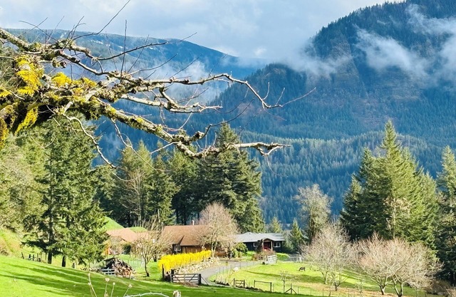 4 BR Columbia Gorge Farmstead Haven with River Views