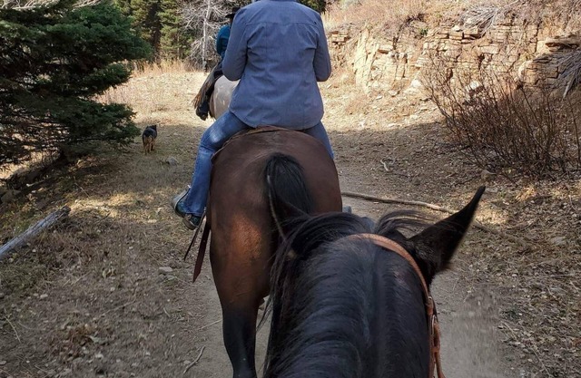 Come camping on a 100 year old cattle ranch