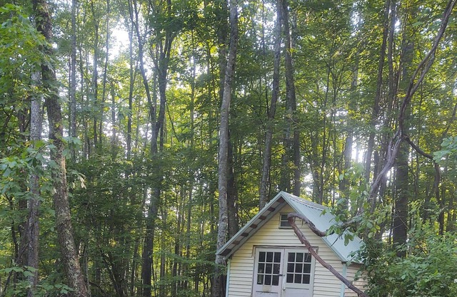 Come check out the yeti triangle it's off grid camping at its best pet friendly