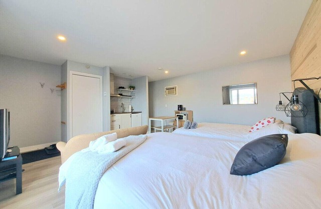 Comfort 5 apartment