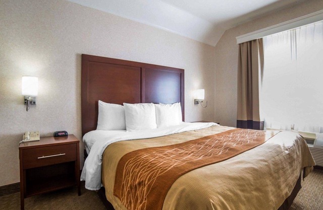 Comfort Inn Elko