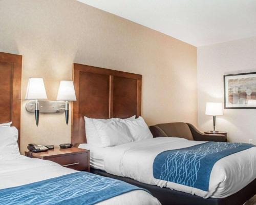 Comfort Inn & Suites Hamburg - Buffalo South