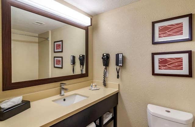Comfort Inn & Suites near Six Flags