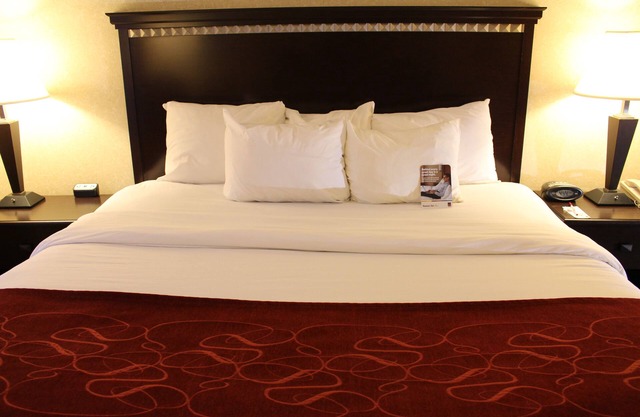 Comfort Suites Canton - Detroit
