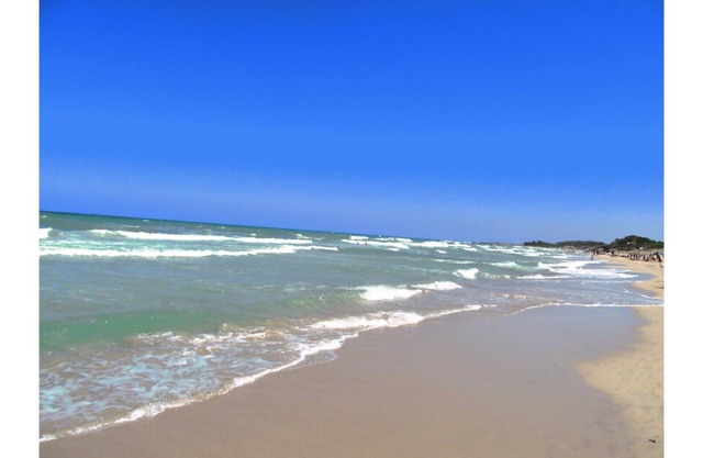 Komfortable Dreizimmerwohnung für 4/5/6 Plätze. Masseria 8 km vom Meer und Ostuni entfernt