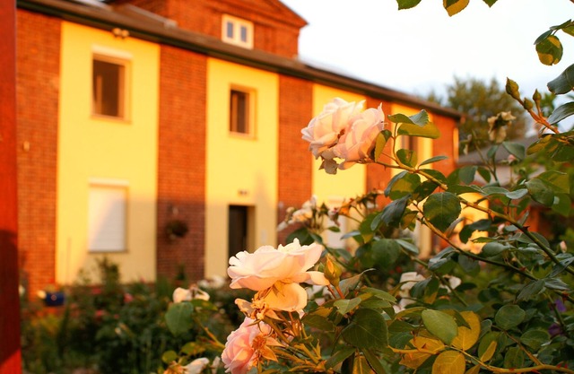 Komfortable 4 Sterne 75qm Ferienwohnung für 3 Personen in Brandenburg