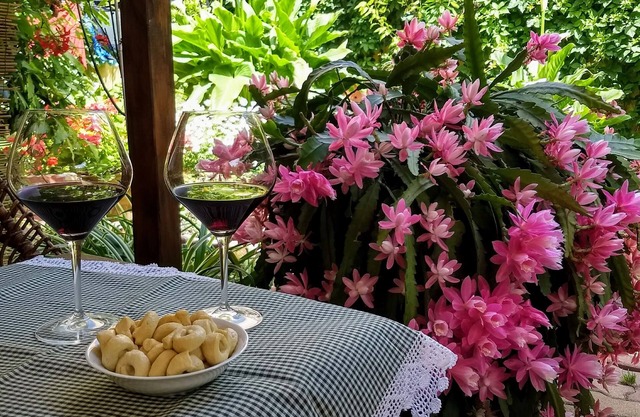 COMFORTABLE APARTMENT WITH GARDEN, WI-FI NETFLIX IUN R8636