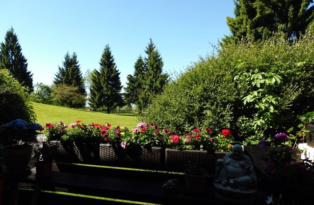 neu renoviertes Studio - belegbar bis 3 Personen