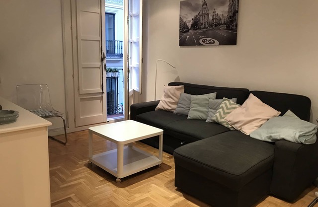 Komfortable Wohnung in Cortes / Barrio Letras Madrid