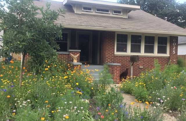Komfortable Wohnung in Broad Ripple