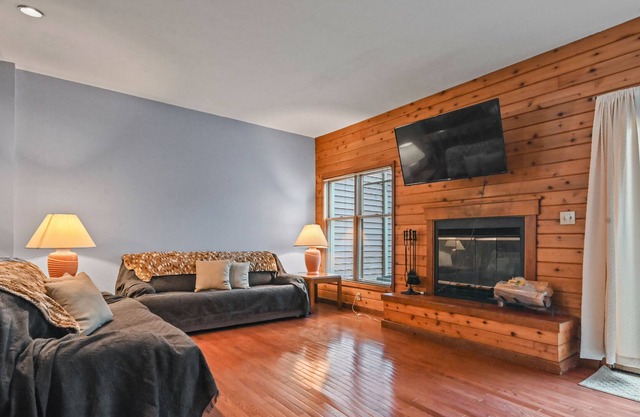 Comfortable condo with fireplace, central AC, & washer/dryer - snowbirds OK
