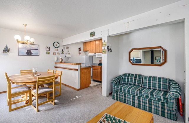 Comfortable Condo - Pets Allowed - TM#18 by Bear Valley Vacation Rentals