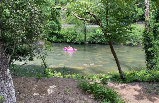 Comfortable Condo on the Cartecay - Cartecay Release