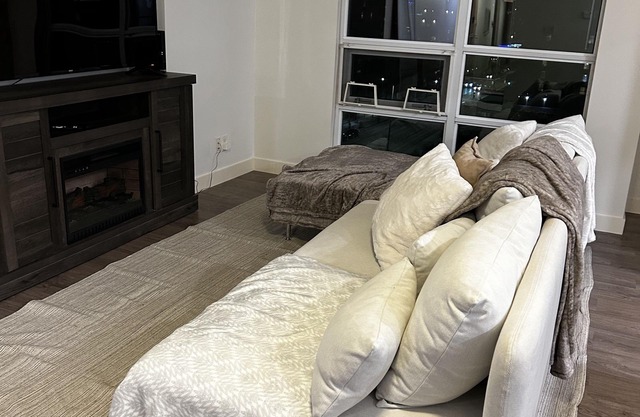 Comfortable, cozy modern condo 2 bedrooms, 2 bath and an office. Great location.