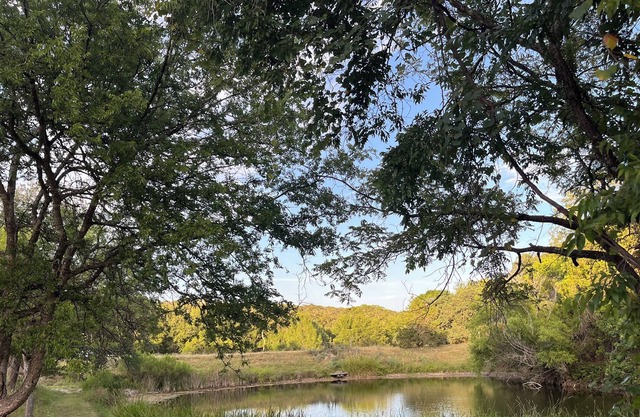 Comfortable Hill country retreat with private fishing pond & front porch swing!