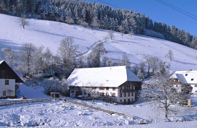 Boutique-Wohnung in Salmensbach am Fluss