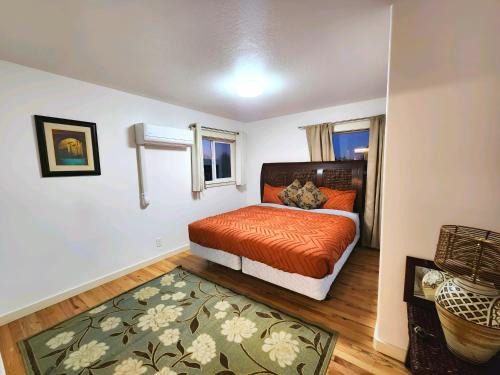 Comfortable Jacksonville house