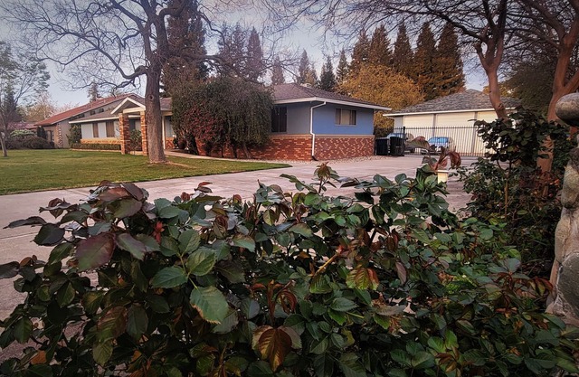 Frisch renovierte Privatwohnung im Herzen von Sacramento
