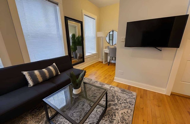 Comfy and Chic Apt in Chicago