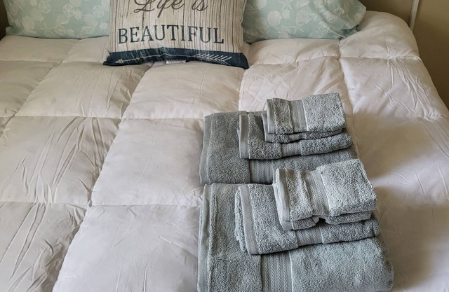 Comfy Convenient Condo in Clearwater