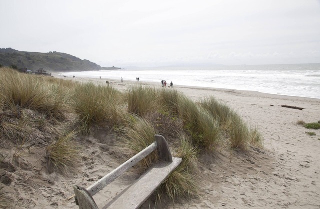 Vollständig aktualisiert und dennoch ruhige Stinson Beach Retreat