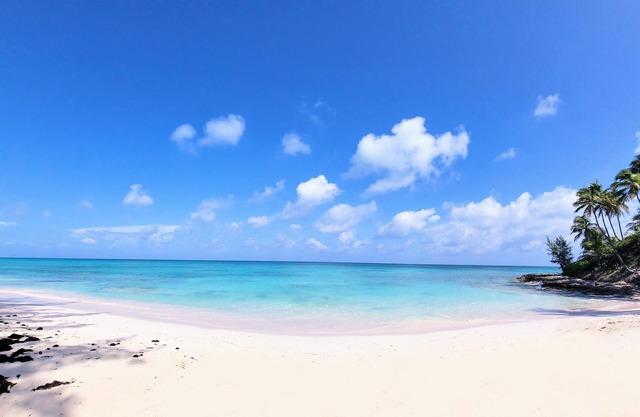 Conch'd Out: Semi-private beach. Ocean views. Adults only.
