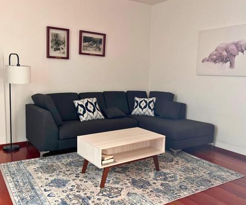 Condesa Residence Amsterdam D Sunny 2Bed 1Bath Apt in Condesa