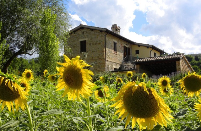 Komfortabel, schön, Wohnung, herrlicher Blick über die grünen Hügel Umbriens und Assisi