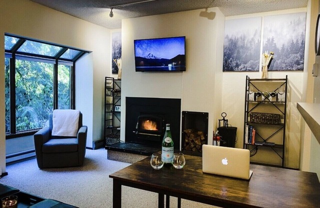 Contemporary MT BAKER Condo