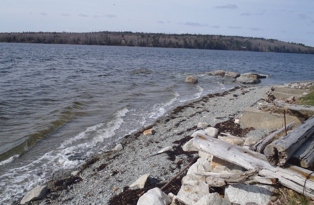 Contention Cove - Klassisches Maine Cottage