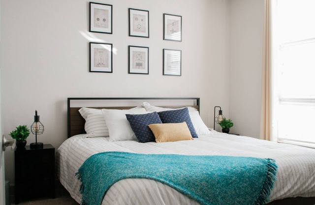 Convenient Downtown 1bd Apt-king bed-1Gb WiFi