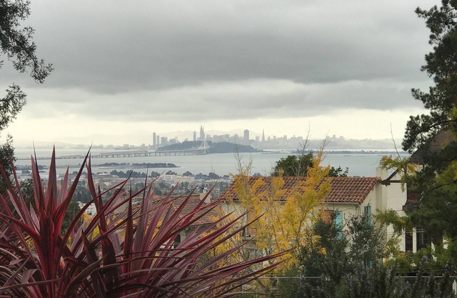 Historisches Haus in der Nähe von University of California, Große Aussicht auf die Bucht