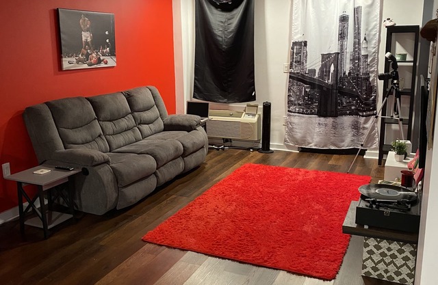 Cool one bedroom apartment in Bedstuy Brooklyn