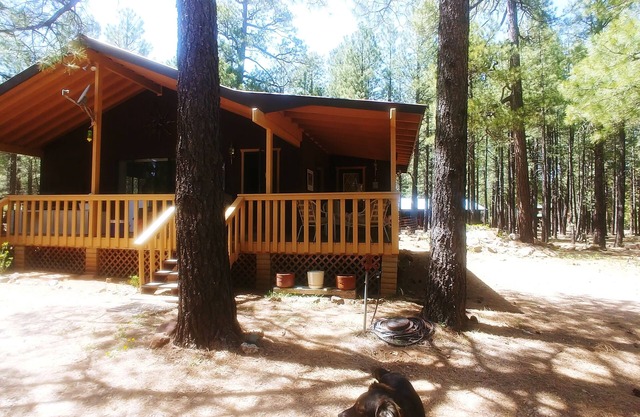Cool Pines Family cabin 2 hrs from the valley