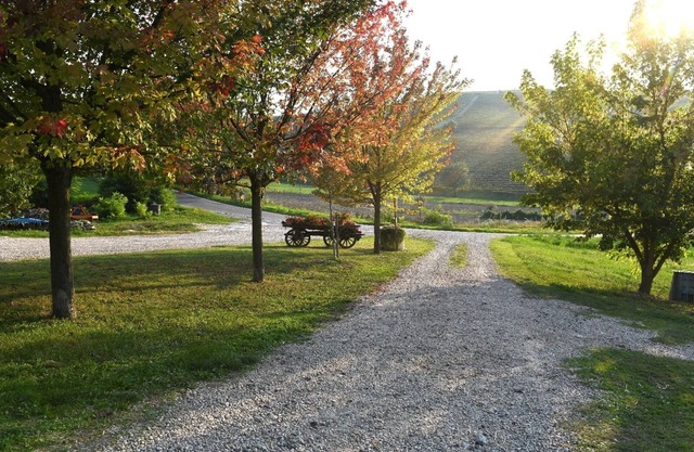 Corner of Paradise among the vineyards