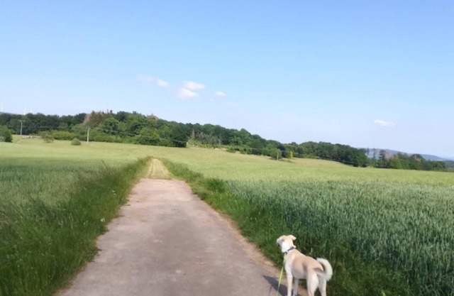 CORNER`S INN - SCHLAF`GUT IN WALLMEROD
