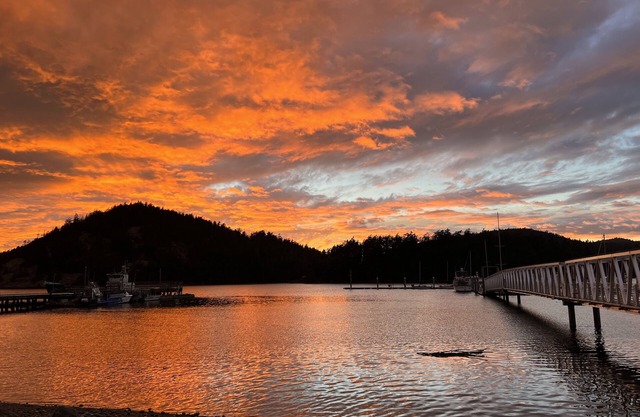 Haus in der Cornet Bay im Deception Pass State Park, 100 Fuß zum Strand, riesige Haustiere im Hof in Ordnung