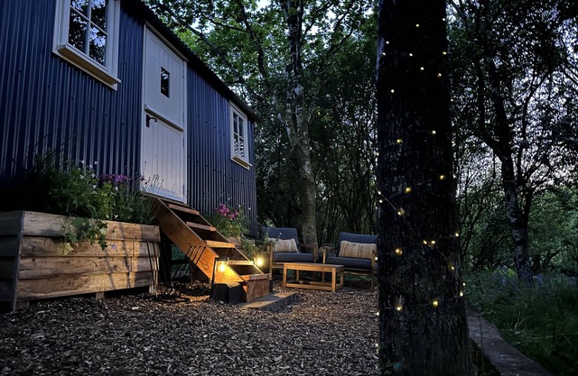 Cornwall Woodland Dog Friendly Shepherd's Hut