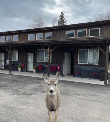 Corral Villas Yellowstone