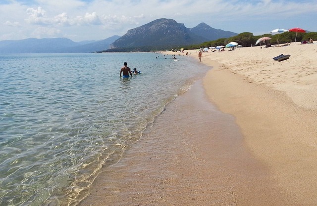 Corte Jasmin - Surfinia - Orosei
