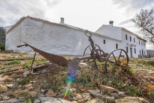 Cortijo Borreguero