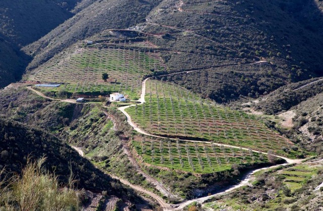 Cortijo El Rancho