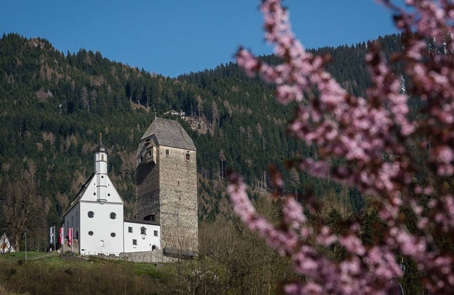 Cosey Grey - City Apartments Schwaz