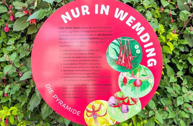 Gemütliche Wohnung in einem Ferienhaus mit W-LAN, Klimaanlage, TV, Terrasse und Parkplatz