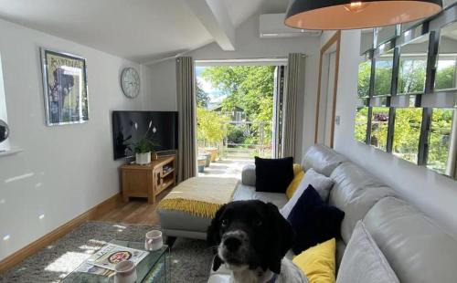 Cosy dog friendly self contained apartment